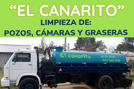 barometrica el canarito parque del plata