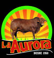 carnicería la aurora
