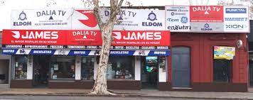 dalia tv