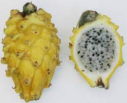 fruta del dragon