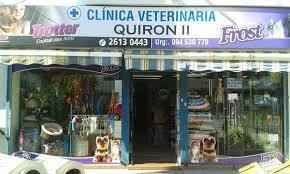 veterinaria quiron 2