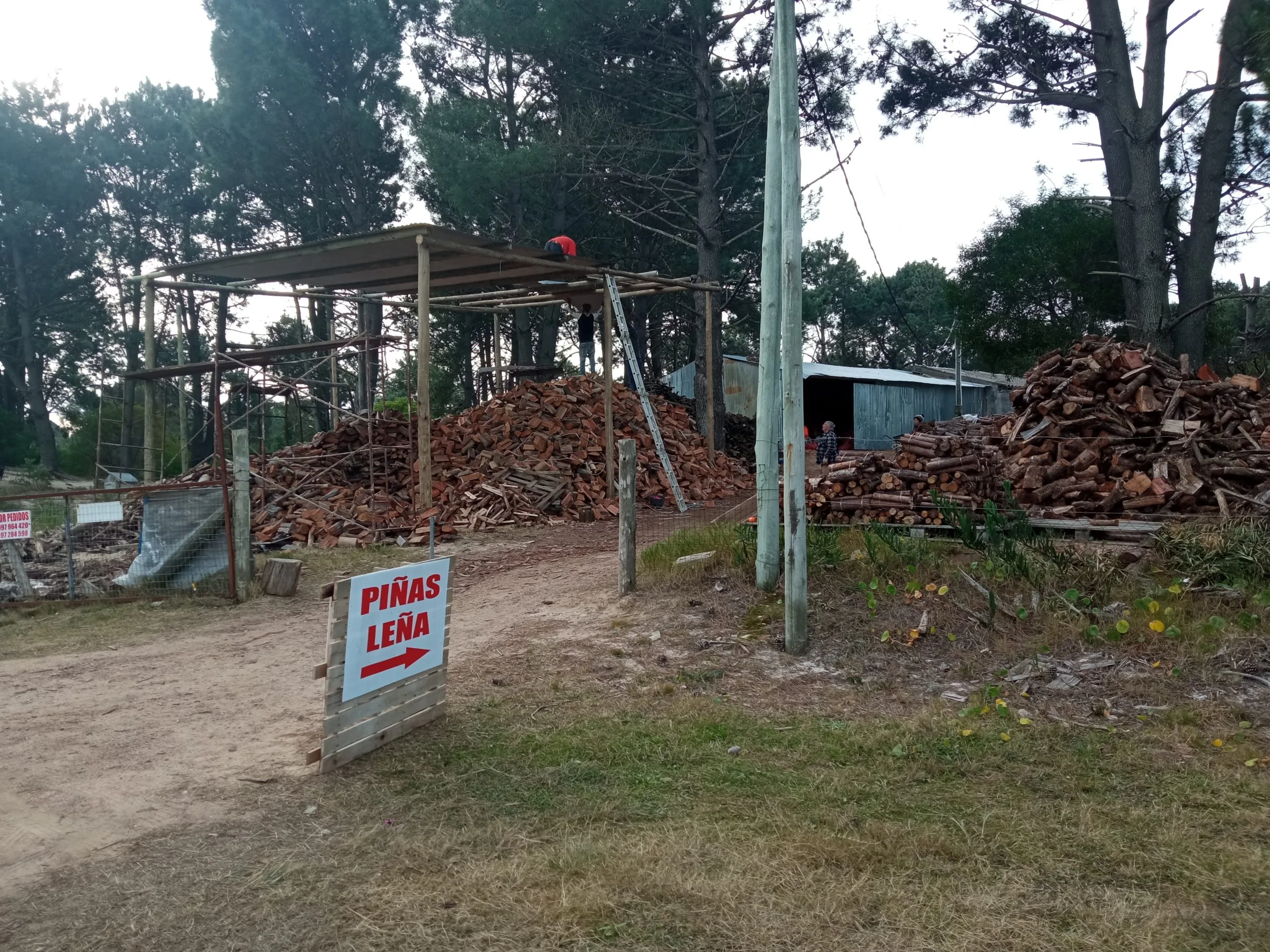 LEÑERÍA LOS SALVAT