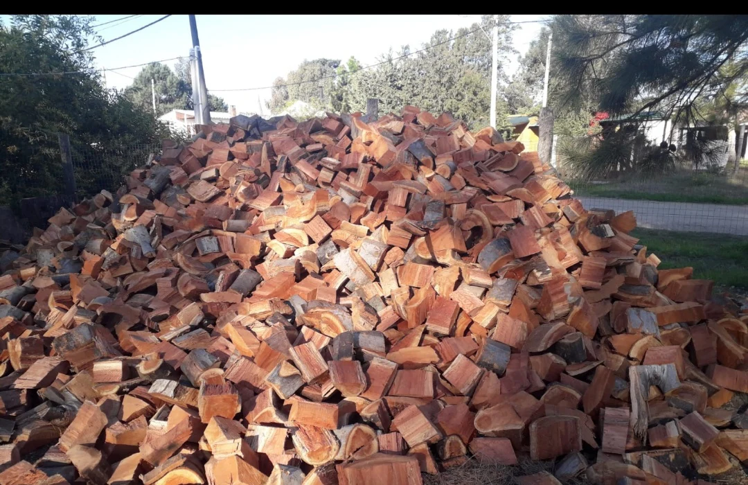 Leña cerca de Club Bello Horizonte, Canelones