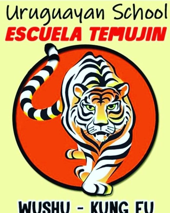 ACADEMIA DE ARTES MARCIALES TEMUJIN